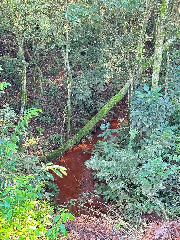 Terreno en minga guazu lado acaray, foto 4