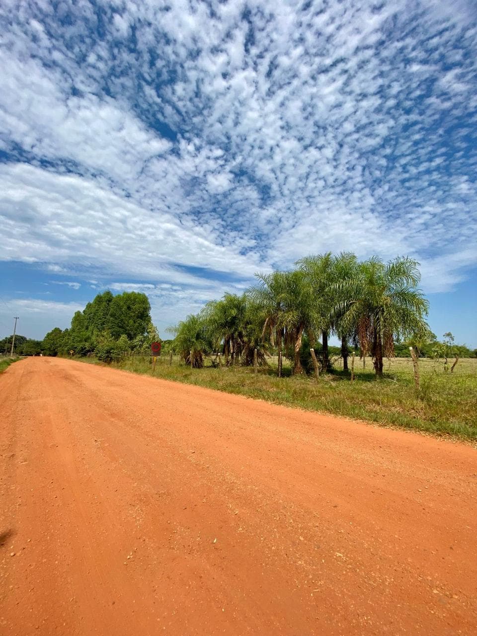 Exclusiva Propiedad en Misiones: Ubicación Estratégica y Potencial Inigualable — foto 5