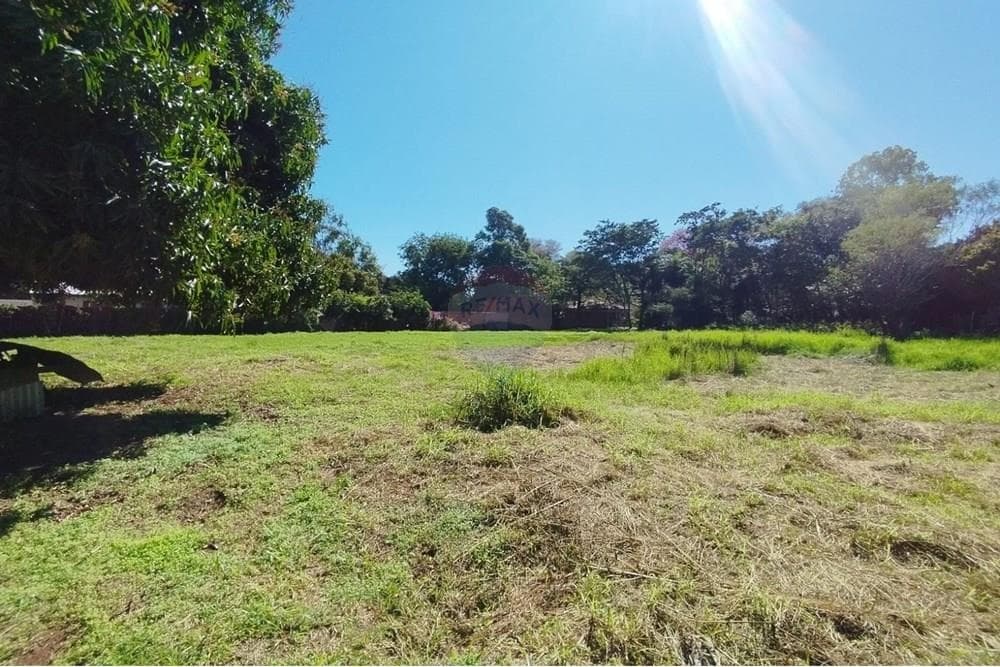 de Terreno en Ñemby, foto 4