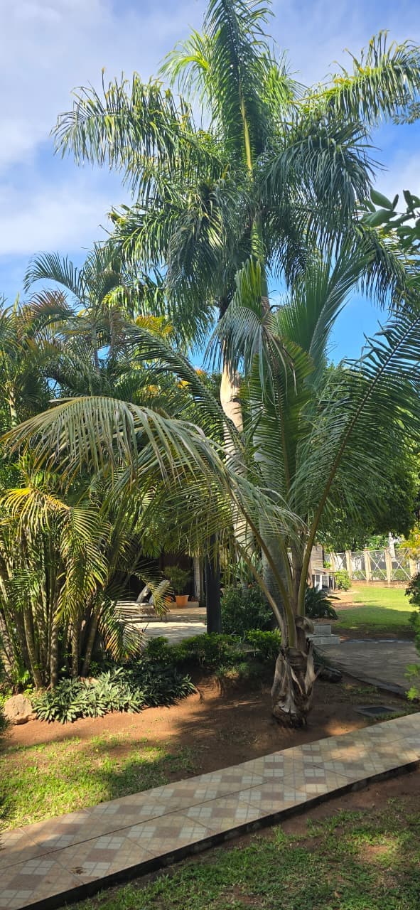 Hermosa residencia en sanber, foto 3