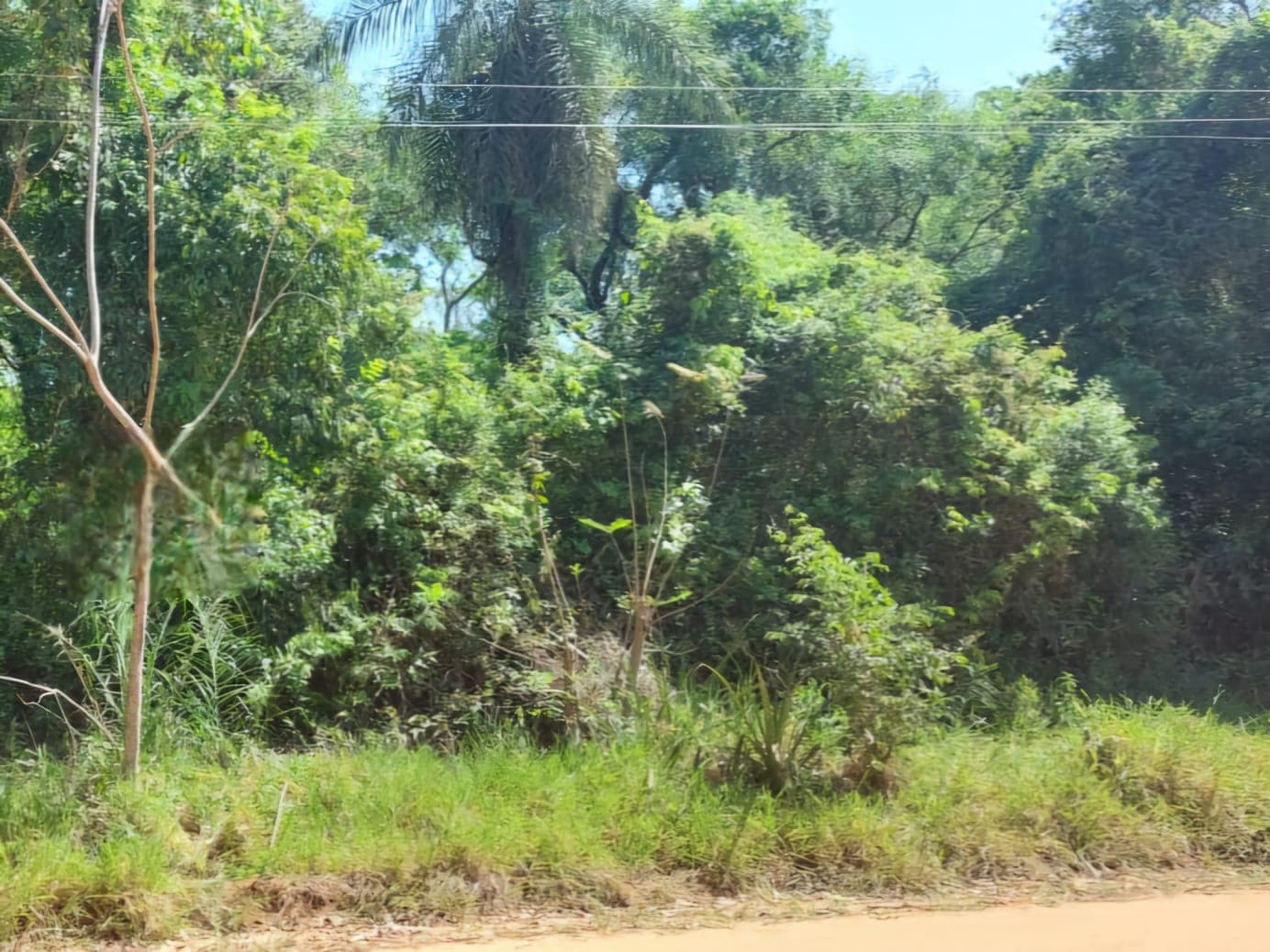 En Caacupe! Este Es El Lugar Para Tu Casa De Descanso!, foto 5
