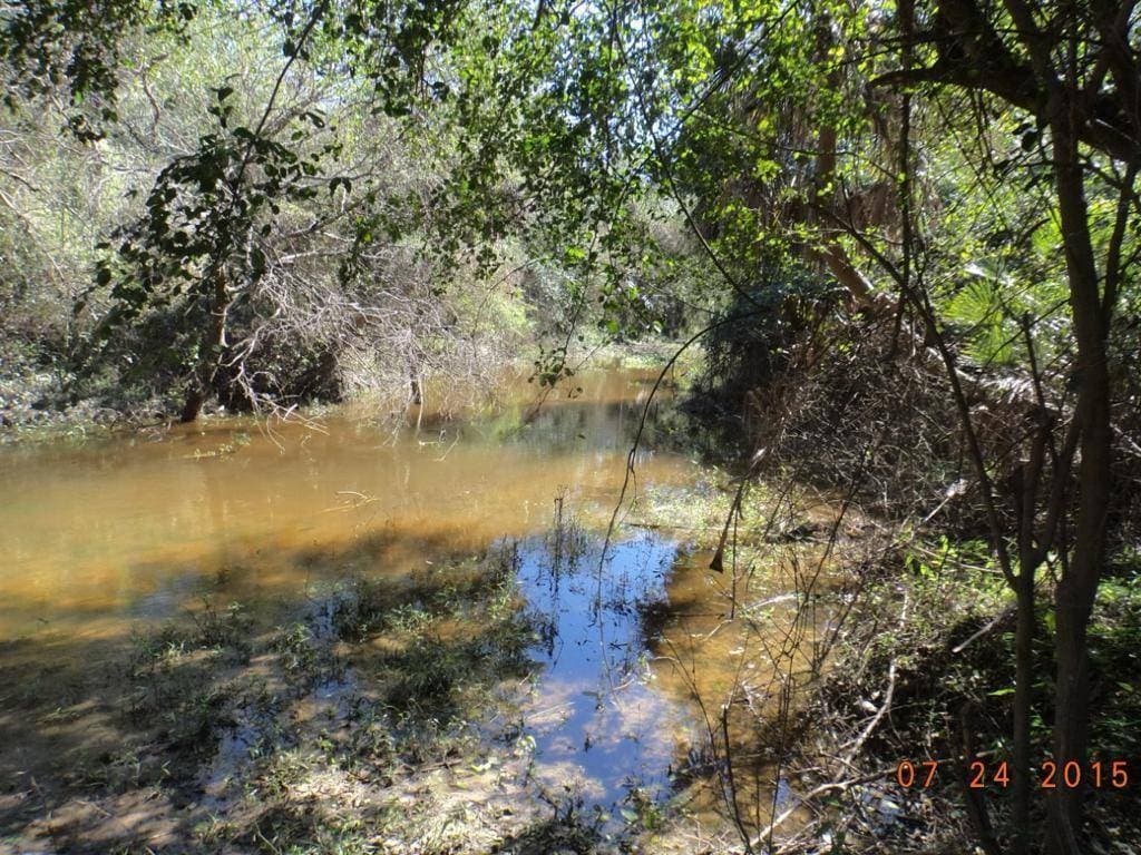 En venta valiosa propiedad sobre ruta py12, foto 3