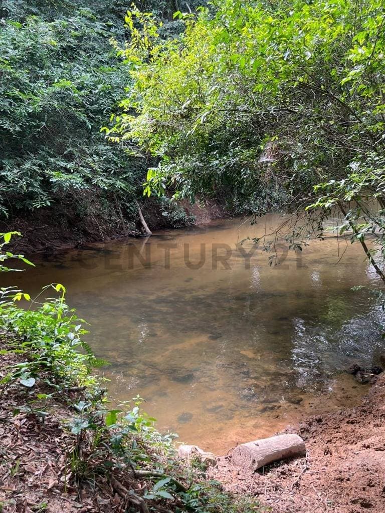 Terreno en Itacurubi de la Cordillera, foto 4