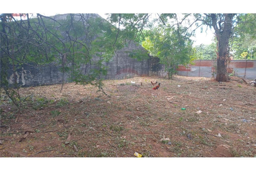 Terreno en San Lorenzo- laurelty, foto 4