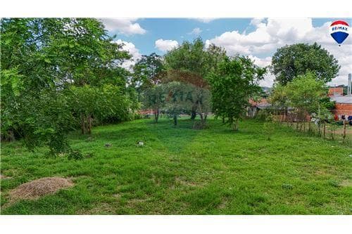 Amplio Terreno en Lambaré de 2901 m2, foto 5