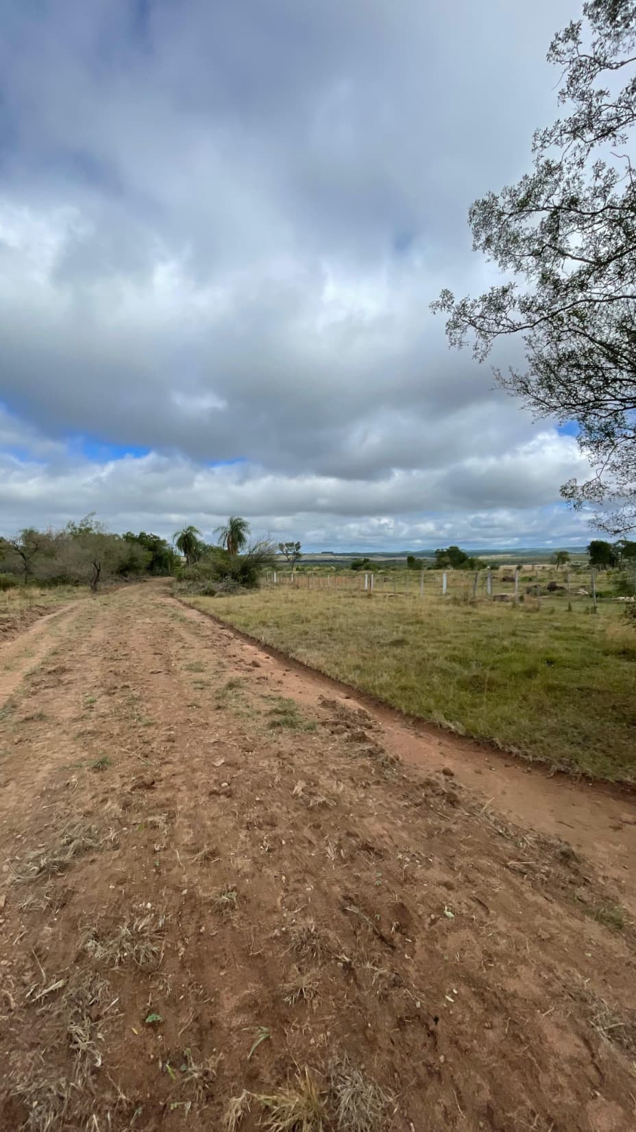 19 hectáreas en Quiindy con hermoso arroyo, foto 2