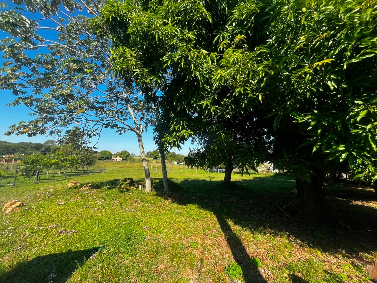 Terreno en venta de 1424 m2 sobre asfalto en Nueva Italia, foto 2