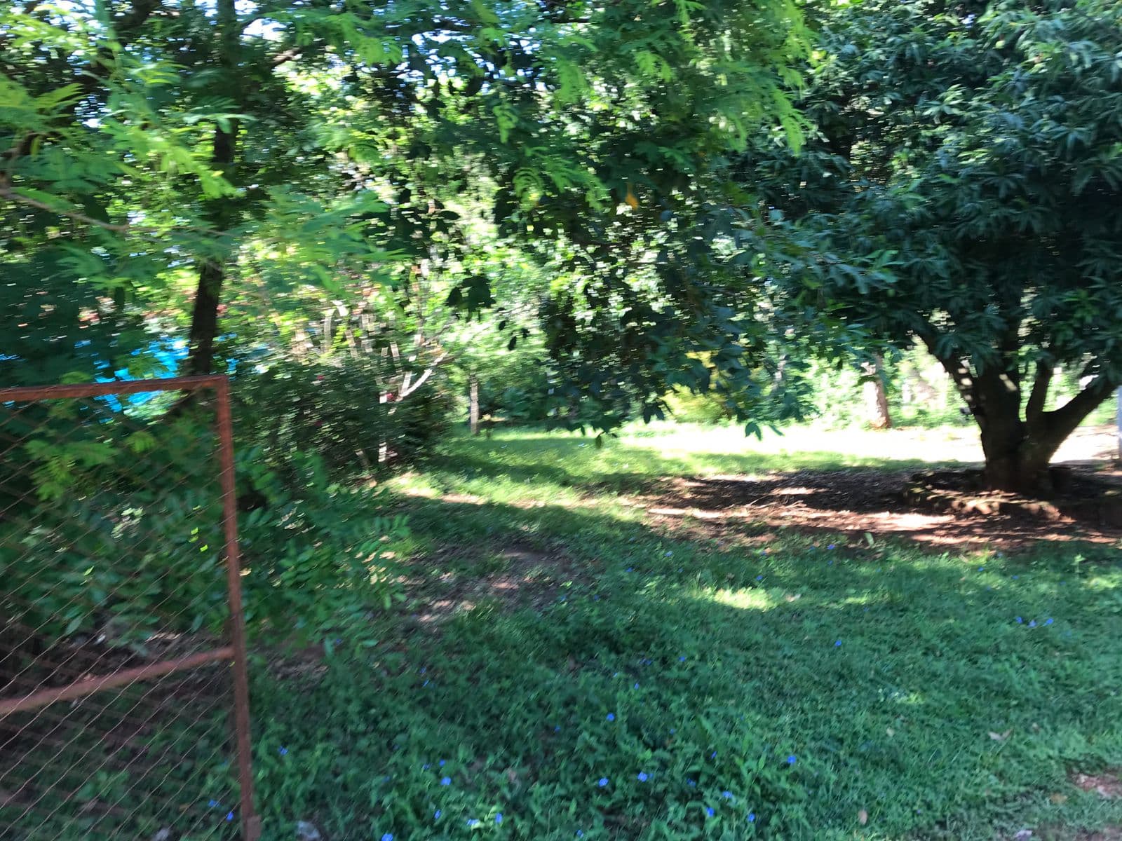 Terreno en venta sobre ruta cabañas-caacupé — foto 1
