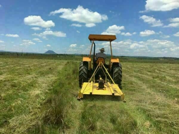Campo De 90 Has.en Potrero Ybycui Departamento De Paraguari, foto 1