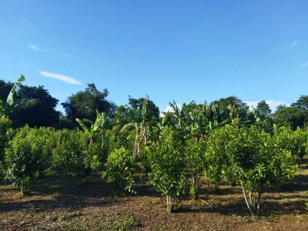 En venta – propiedad única en paraná poty, península – presidente franco, foto 3