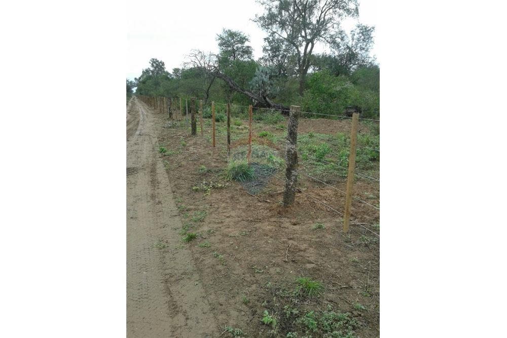 Terreno de 7.425 Hectáreas en Pozo Hondo, Boquerón — foto 2