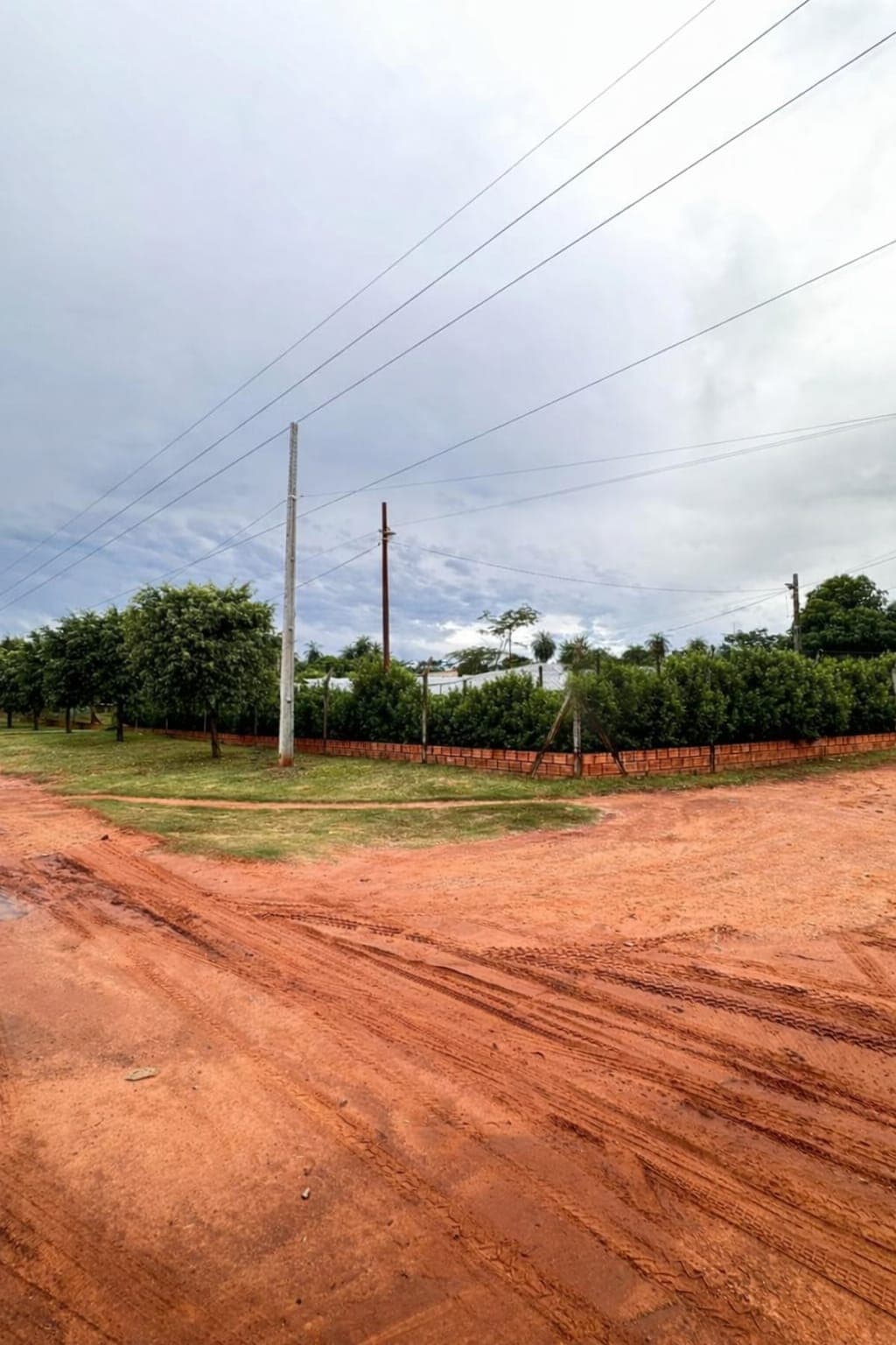 Quinta