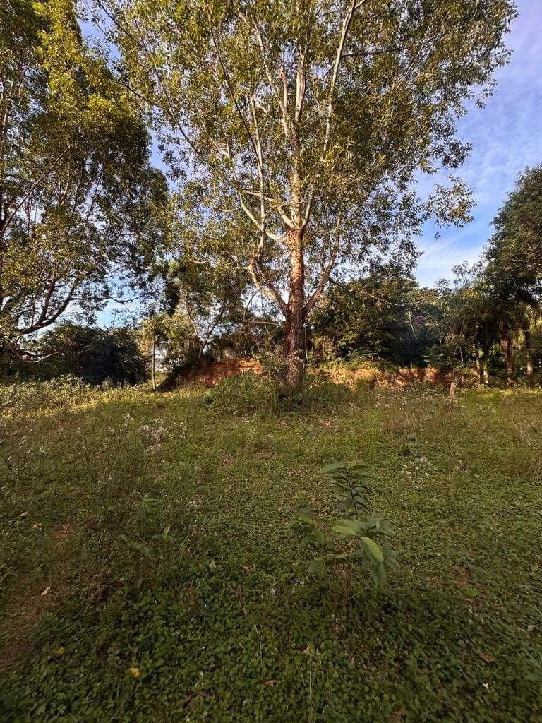 Yaguaron Km 43 - 8,5 hectareas sobre Ruta PY01 para Lotear, foto 4