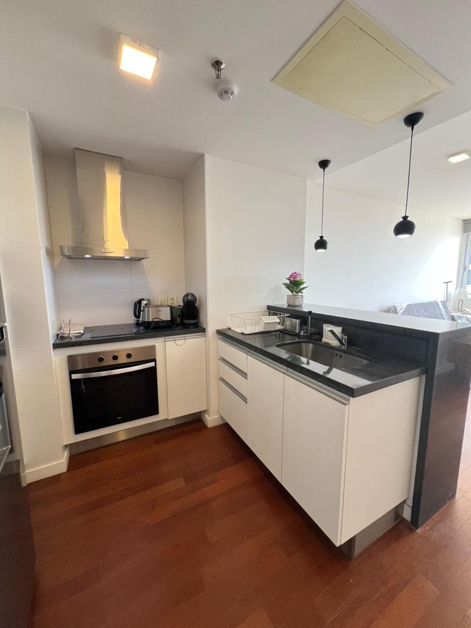 Departamento amoblado de 1 dormitorio zona santa teresa, foto 4