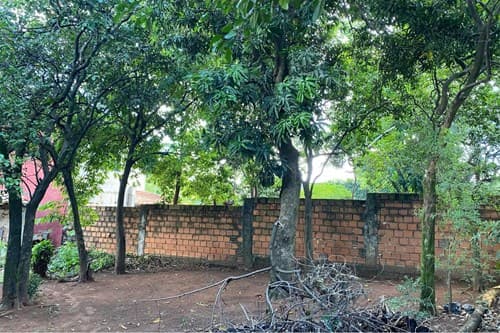 Terreno en San Lorenzo, foto 4