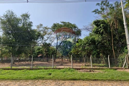 Terreno-Venta-PY Cordillera San Bernardino MCAL. ESTIGARRIBIA AVDA CIERVO CUA, foto 4