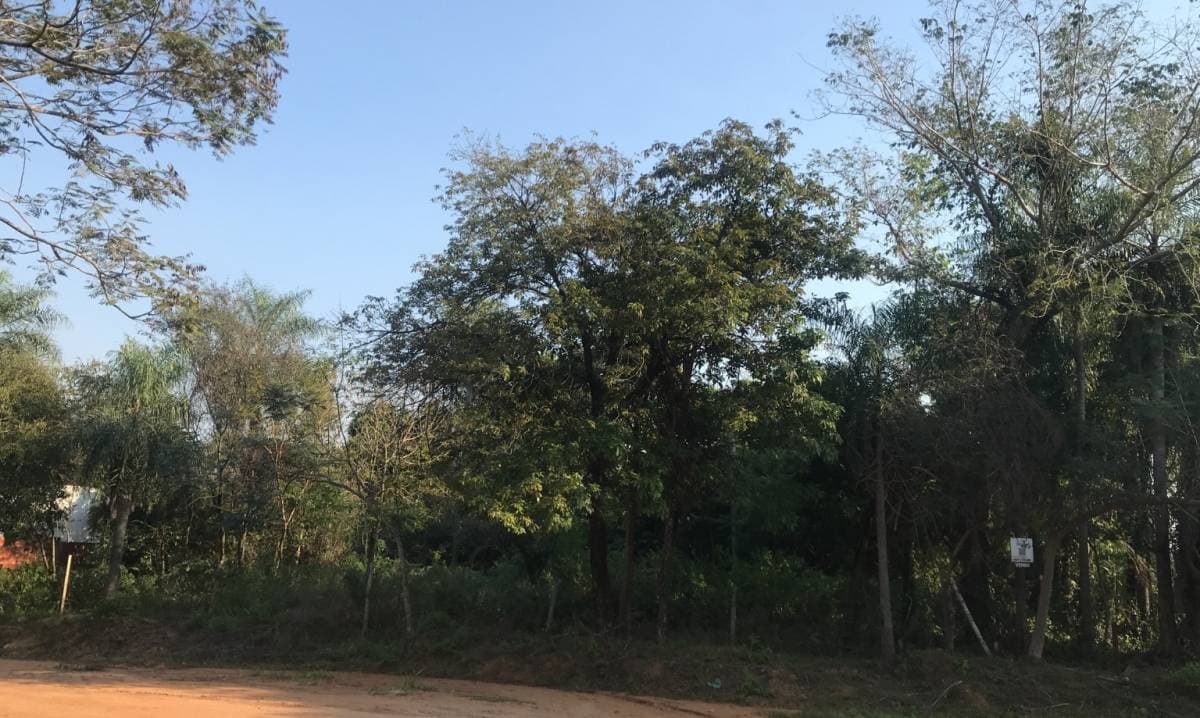Terreno en san bernnardino zona ciervo cua, foto 3