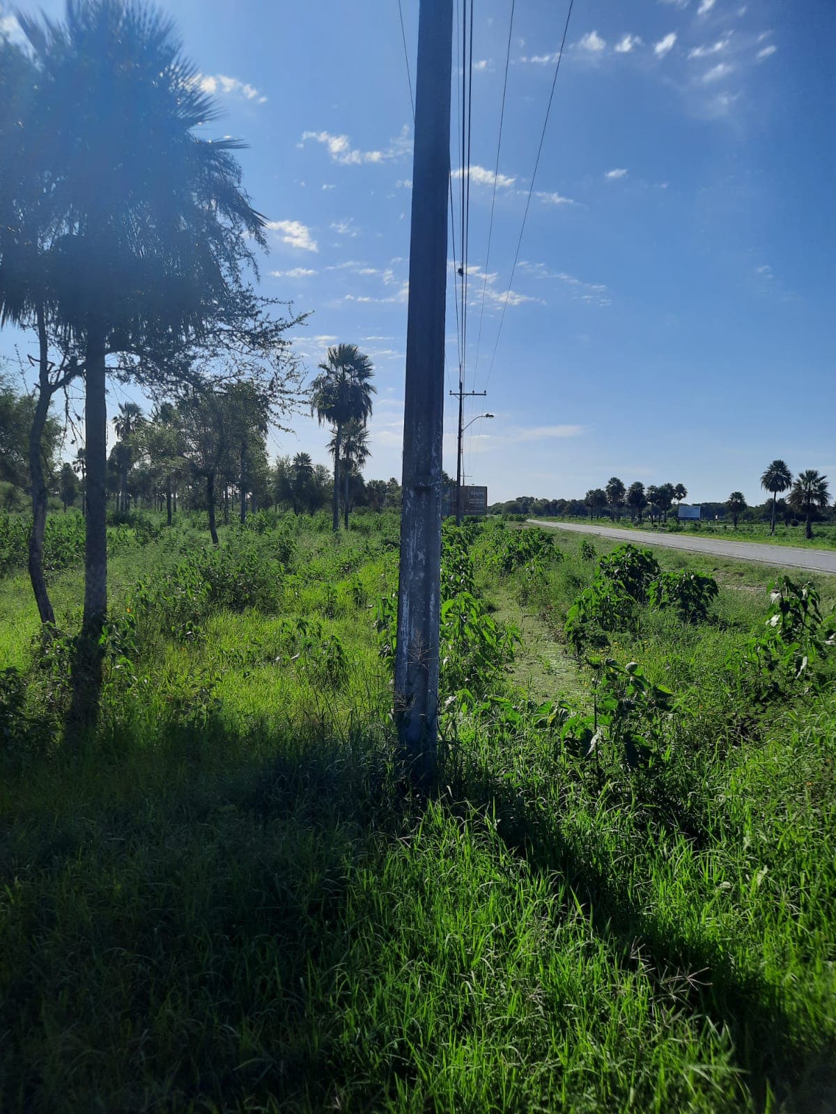 Terreno excelente ubicacion, foto 4
