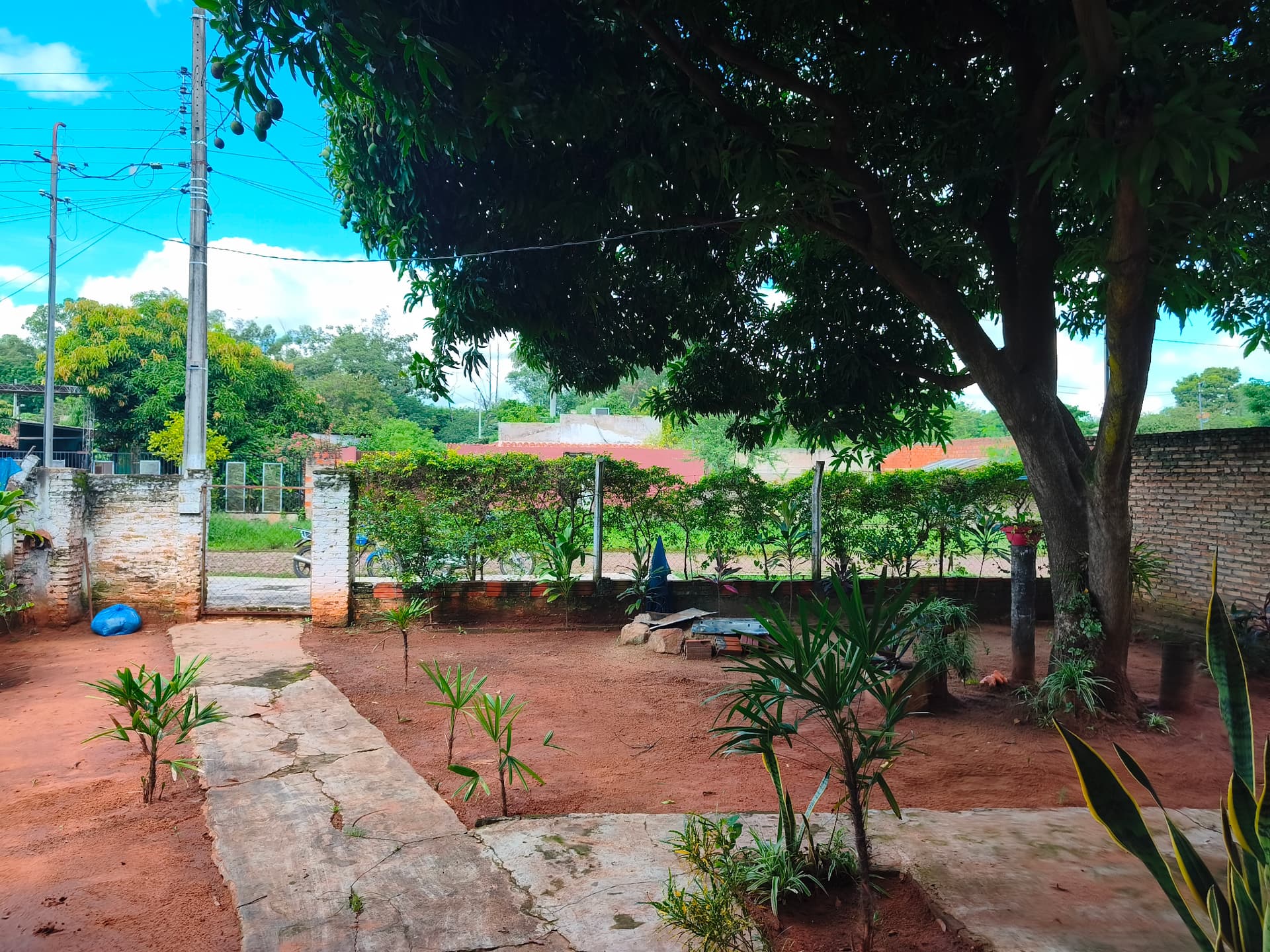 Casa à Venda – Imóvel De 3 Ambientes Com Amplo Pátio, foto 3