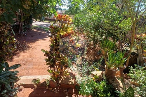 Terreno en aregua, foto 4
