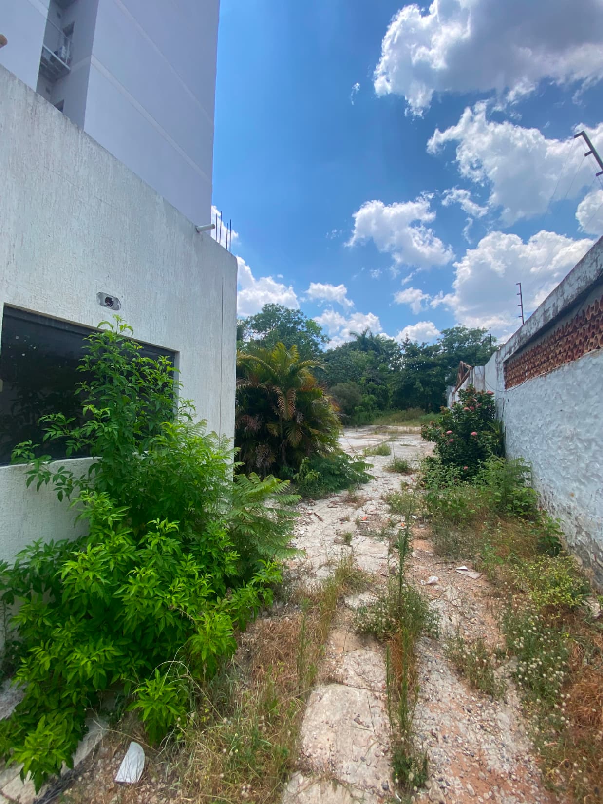 Terreno en barrio Recoleta en la ciudad de asuncion — foto 2