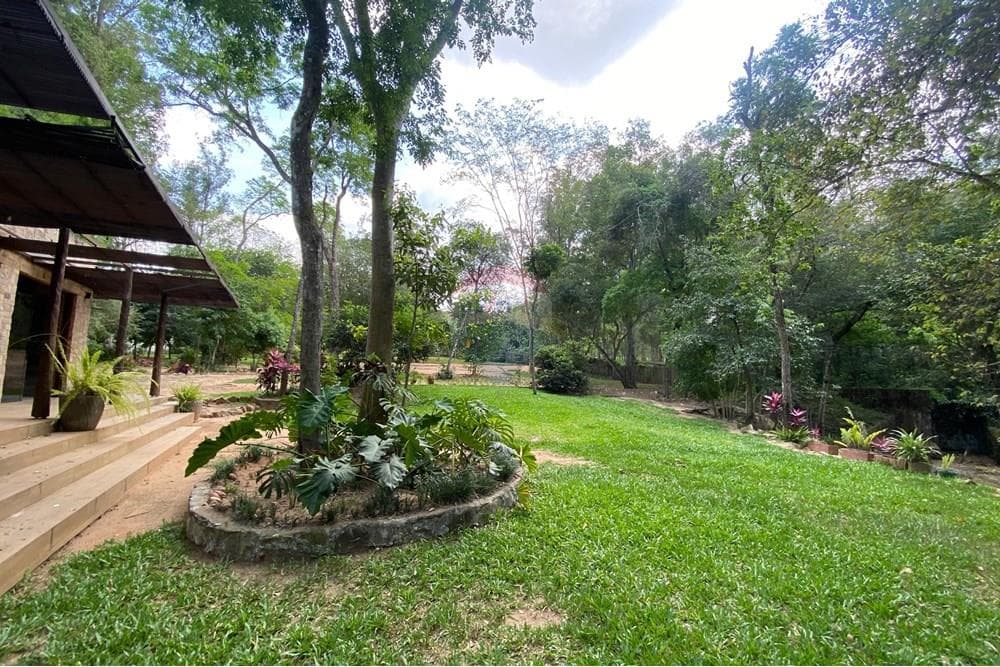 Propiedad 4,238 m2 Zona Anfiteatro San Bernardino, foto 4