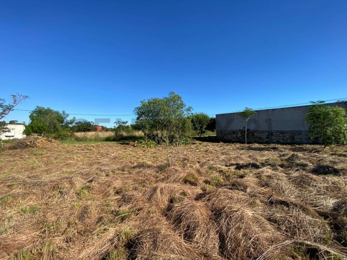 Terreno de 1.200 m2 en San Bernardino, foto 2