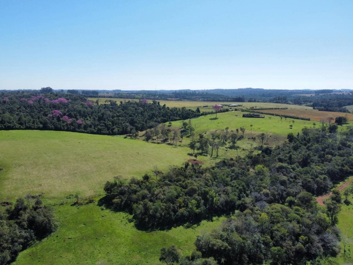 Terreno En Venta Con Espectacular Vista Al Río Paraná En Bella Vista, foto 5
