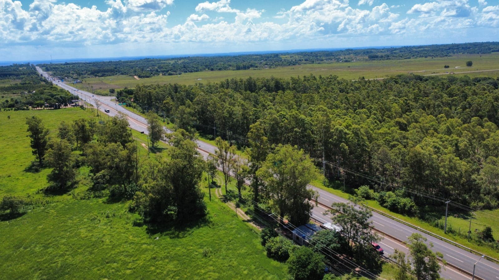 10 hectareas sobre ruta py02 - coronel oviedo, foto 2