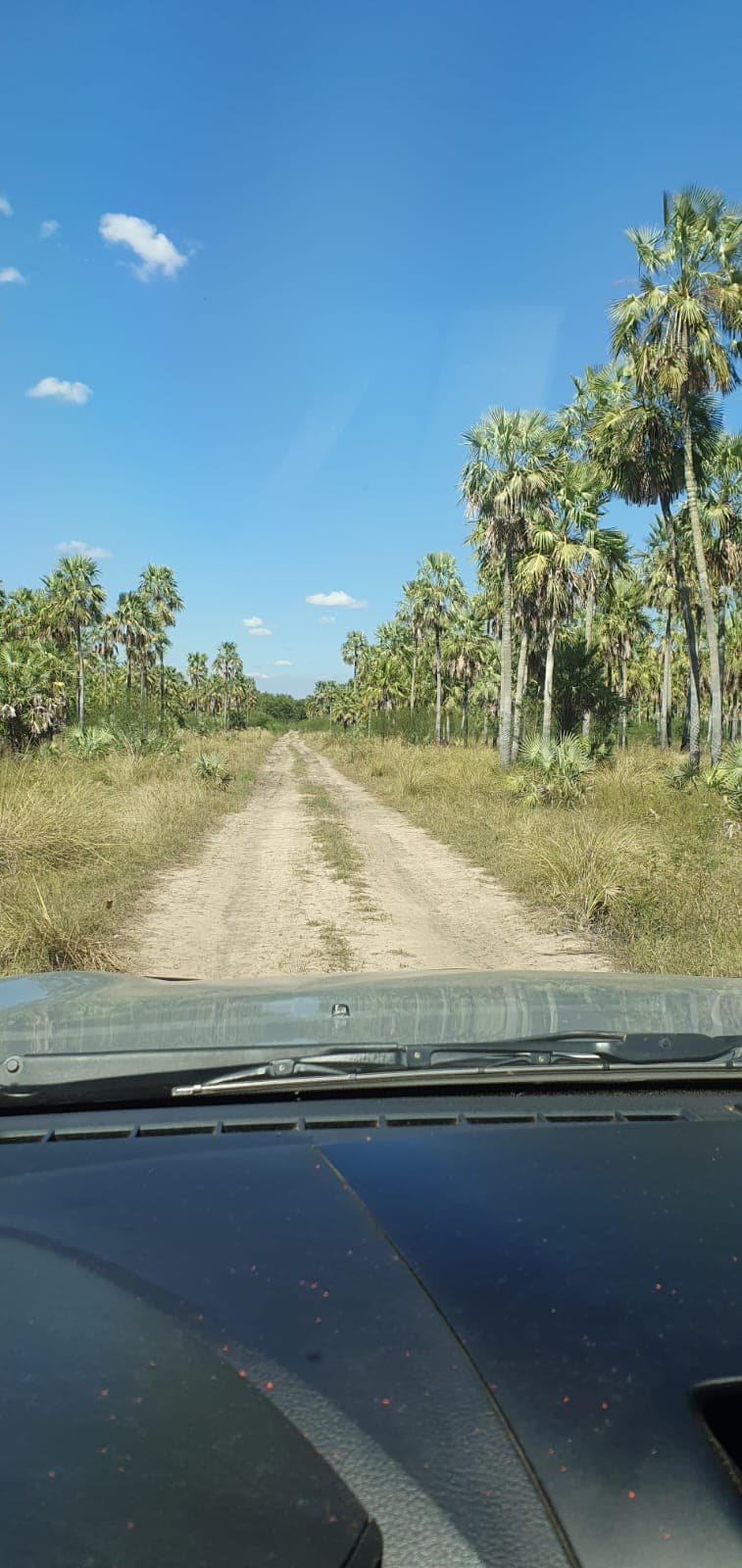 Campo de 1.328 Hectáreas en Zona Pechugon - CLCS6537028, foto 4