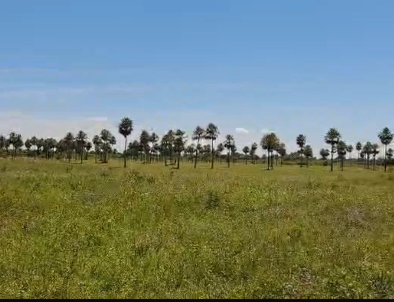 Terreno en chacoi, foto 1