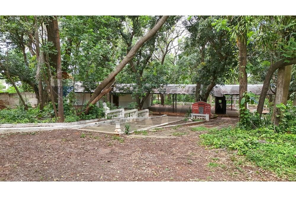 Terreno - Venta - Villa Elisa, Paraguay, foto 1