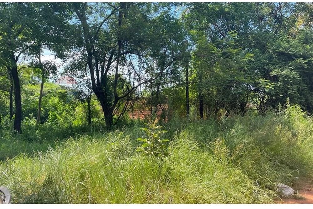 Terreno de 1 Hectárea en Luque, foto 5