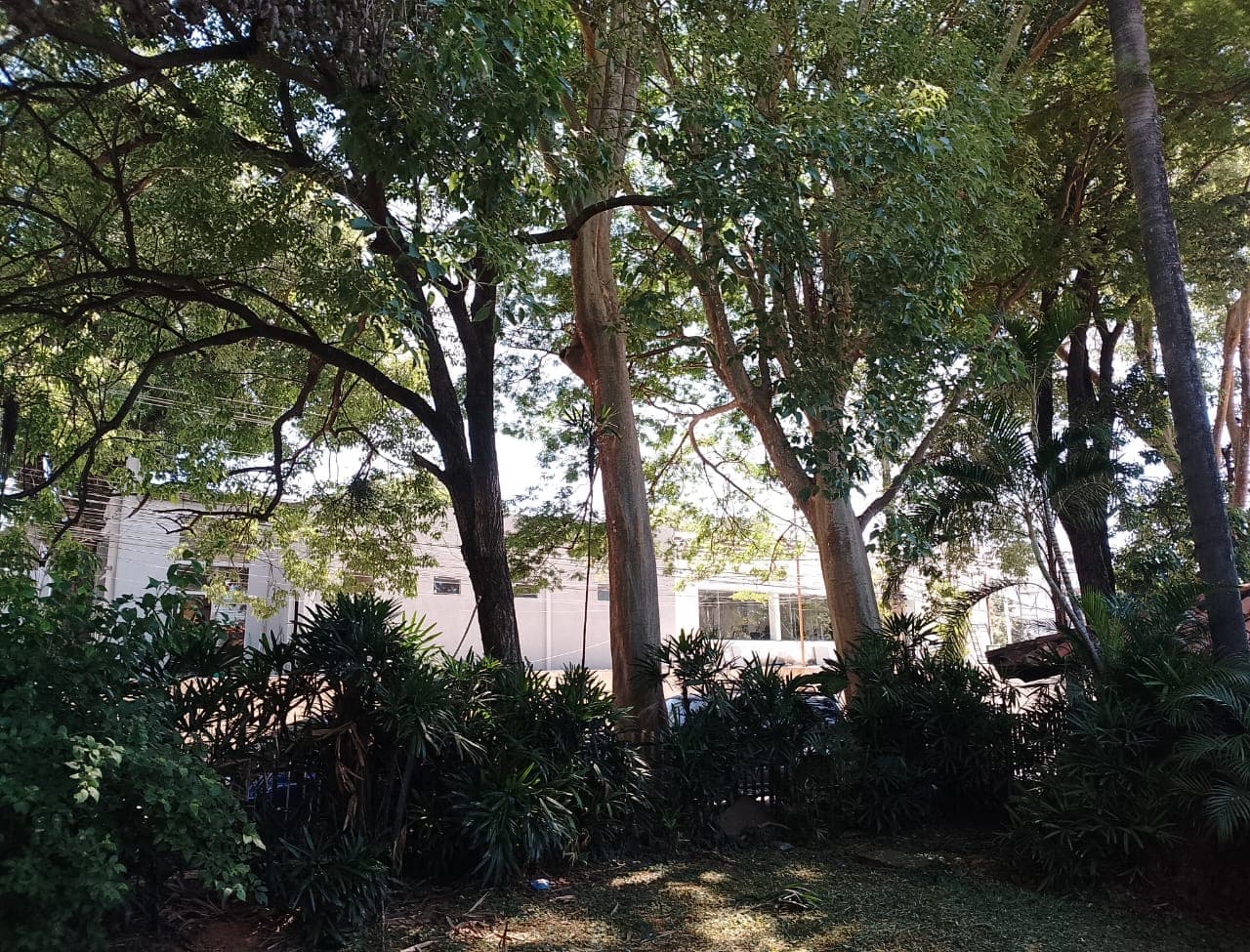 Casa para comercios en Asunción Villa Morra, foto 4