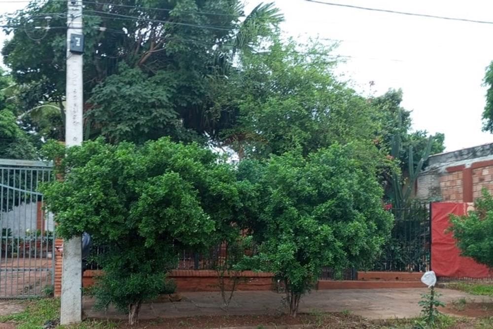 Terreno - Venta - Paraguay Central Ñemby, foto 2