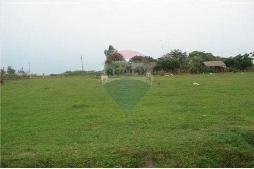 En venta campo de 540 has. En juan de mena, foto 3