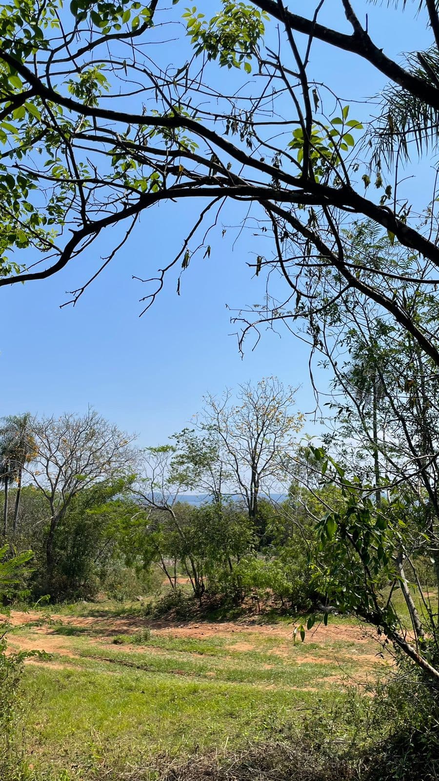 lotes con vista al lago San Bernardino, foto 3
