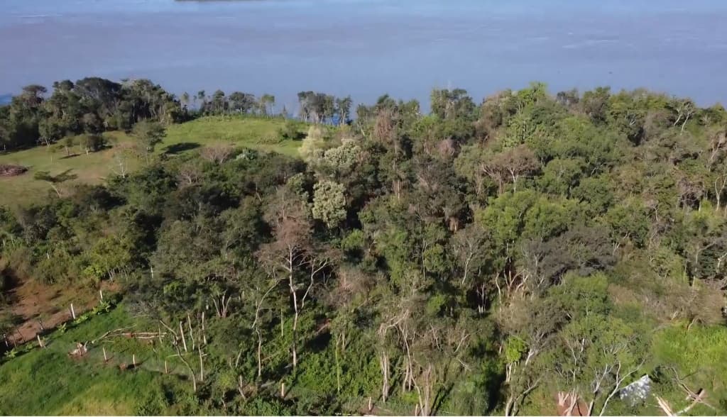 Campo / Terreno En Cambyreta Encarnacion Rio Parana — foto 4