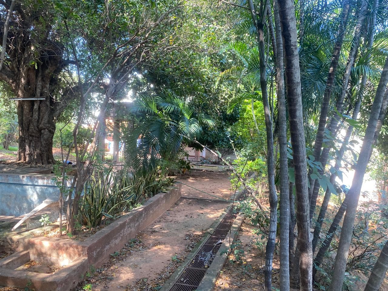 Propiedad zona barrio Jara, foto 4
