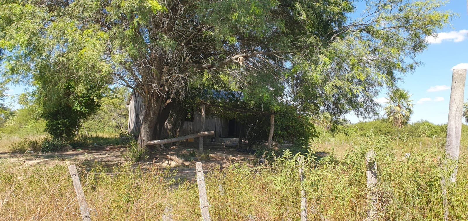 Campo de 1.328 Hectáreas en Zona Pechugon - CLCS6537028, foto 3