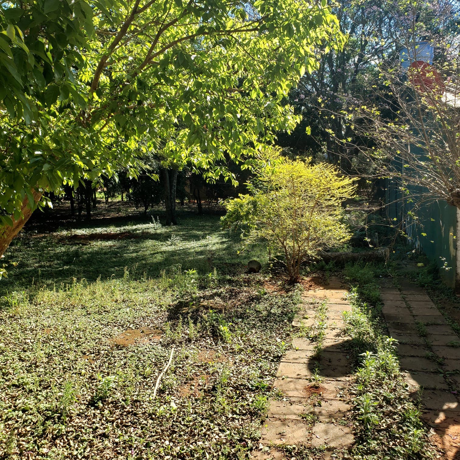 En venta terreno en Capiatá hacia Ruta 1 - de 361m2, foto 5