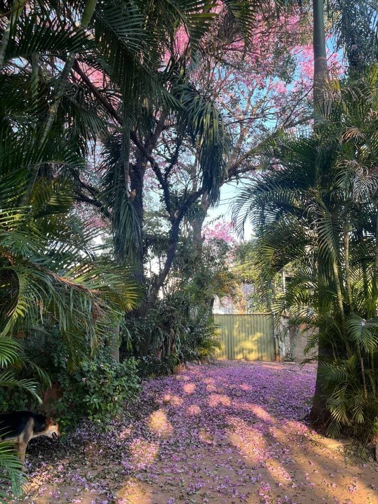 de Terreno en Trinidad, Asunción, foto 2