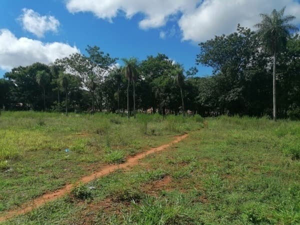 Terreno en aregua, foto 2