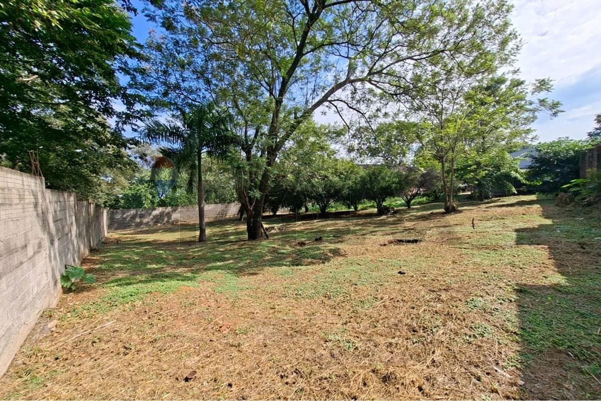 Amplio terreno con depositos en Villa Elisa, foto 3
