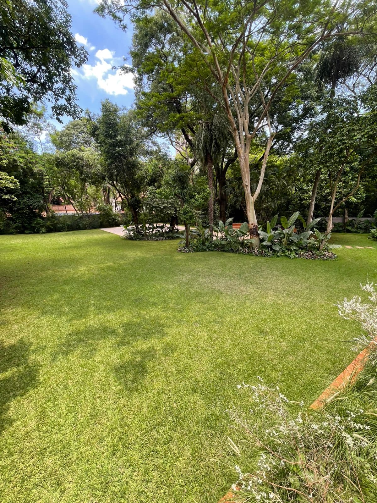 Departamento En Alquiler Amplio A Estrenar — foto 4