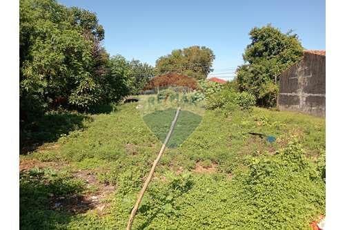 Terreno en venta, Ñemby, foto 3