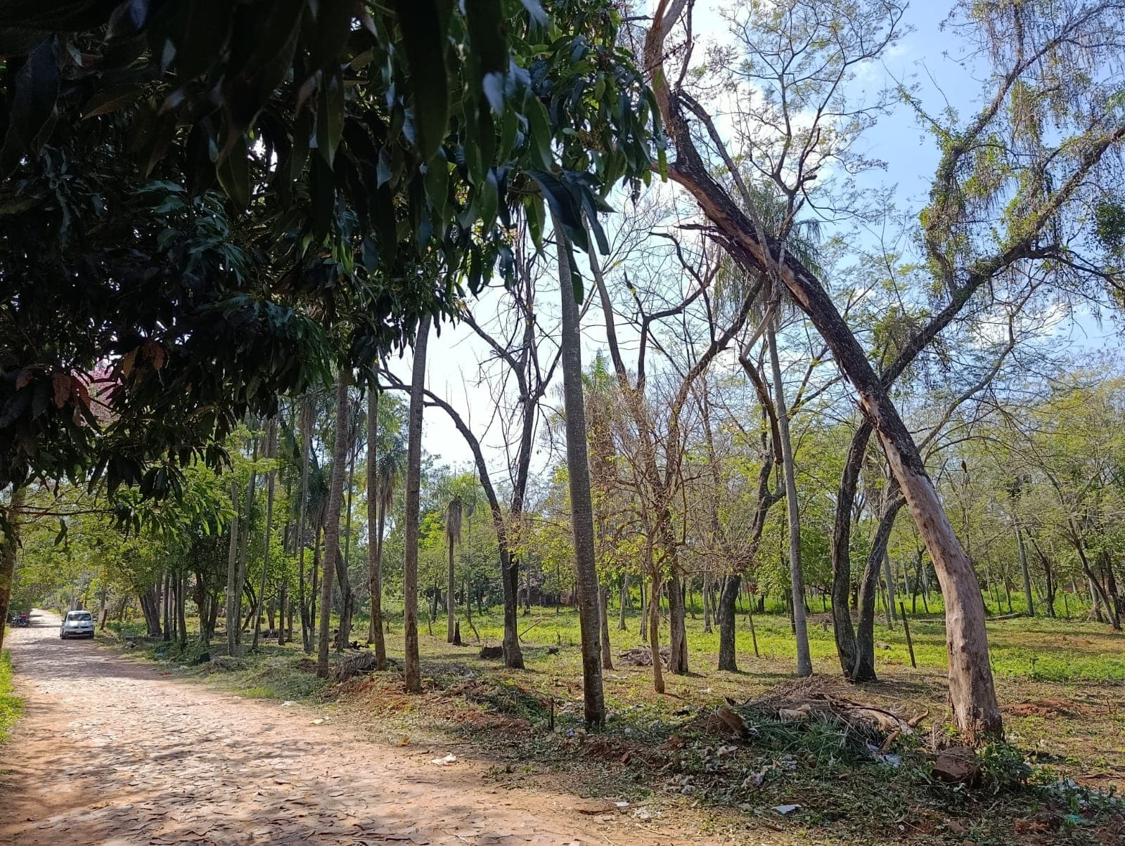 Terreno amplio en Itauguá, foto 2