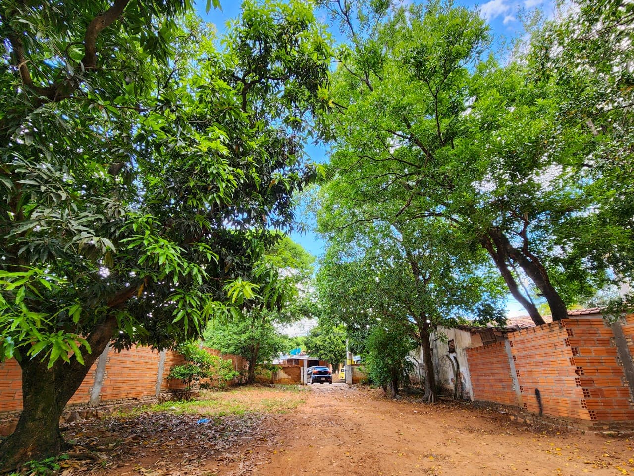 Terreno en barrio america zona jardín de oro, foto 4