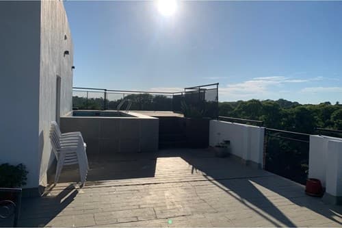 Departamento-Venta-Algodonal y acahay, Botánico, Asunción, foto 3