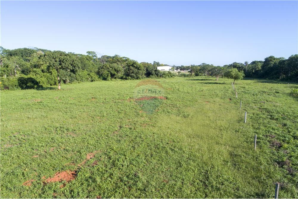 En venta – terreno de 3 hectáreas en Luque, foto 2